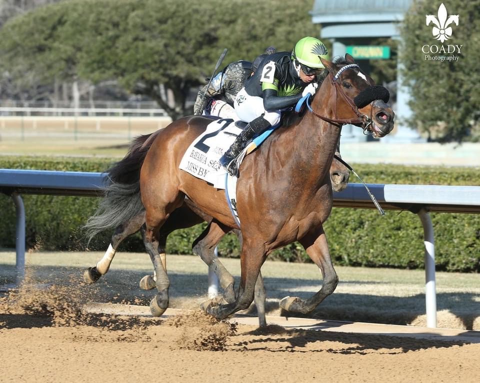 Miss Bigly in the Bayakoa Stakes